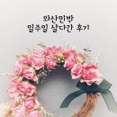 와산 민박 | 와산민박 일주일 살다간 후기