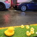 사전6-1 안길 이미지