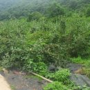 선리농장 이미지