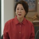 어드림오브시드 이미지