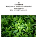 남성 쏘팔메토 비오틴 데콤포 의신 맨파워 포뮬러 [제품후기]