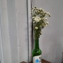 제주방목흑도야지 | [용산 맛집] 내생애 최고의 숨은 두루치기 맛집 ! 제주방목 흑도야지 후기♡