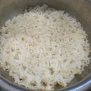 코다리랑낙지 | 중앙대 흑석역 맛집 상도코다리와낙지 | 시래기코다리조림 낙지볶음 꼬막비빔밥 내돈내산 후기