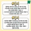 25년 띠별 운세 이미지