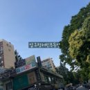 압구정-115 이미지