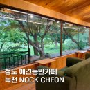 애견운동공원(3~10월) | 청도 애견동반카페 녹천 브런치 즐기기 좋은 리버뷰 카페 내돈내산 후기