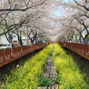 장복산길 이미지