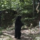 울산농장 이미지