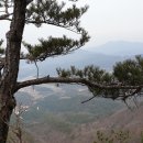 젊은추억