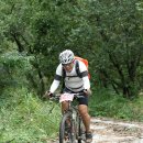 엠티브이9로 이미지