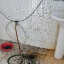 재송2동-38 이미지