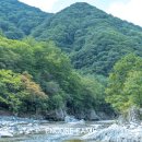 하옥슈퍼 이미지