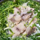 서울복어식당 이미지
