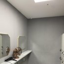 언디핏피트니스×더탠 이미지