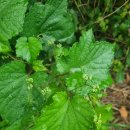 남조봉공원 이미지