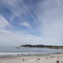 태평양휴게소앞 이미지