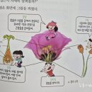 재미있는 창의과학교실 | 초등학교 교과 연계도서, 초등 3학년 과학도서, 초등3학년 추천도서 용선생의 시끌벅적 과학교실(내돈내산)