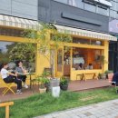 오렌지 칠(orange chill) 이미지