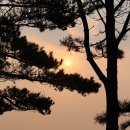 색달동-21 이미지