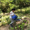 남현동-7 이미지