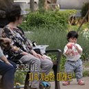 고령카써비스 이미지