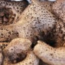 수비면 체육공원 이미지