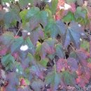 보듬손어린이집 이미지