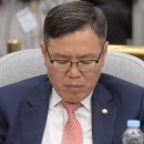 비비하다