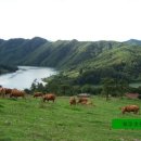 투데이목장 이미지