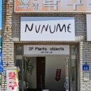 코메샵 | 구미 송정동 상주견 민지가 반겨주는 식물샵, 소품샵 [누누메]
