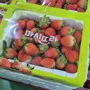 사천시농협농산물산지유통센터(사천농협) 이미지