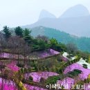 오월하루 이미지