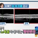 워터그린 이미지
