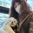 장재영외과동물병원 이미지