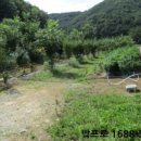 오서1천 이미지