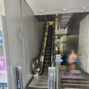 강남 막국수 - 청간 막국수 후기