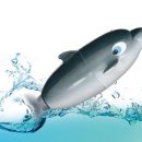 스플래쉬 이미지