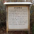 서기묘소 및 신도비 이미지