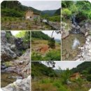 보은부동산공인중개사사무소 이미지