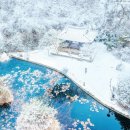 1761 | 안동 체화정, 1761년 형제의 우애가 남은 겨울 정자 여행지