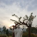 사회복지법인 천주교 성체회 새감마을 종사자 인권교육 아동복지시설 보육원 인권