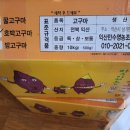 영일팜 이미지