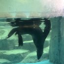 초심, 처음태권도 이미지