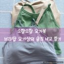 위크텍 | 소함소함 브라탑, 컴피 코튼 탑,나디 홀터 브라탑, 베이직 홀터 요가 탑, 이구 위크 요가복 상의 솔직 후기