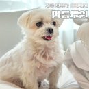 멍펜션12 이미지