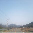 웰빙미나리삼겹살