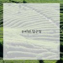 부곡중앙5길 이미지