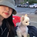 옛닭1975본점