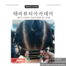 태라헤어아트