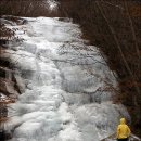 금원산자연휴양림(복합산막,일반산막,숲속수련장) 이미지